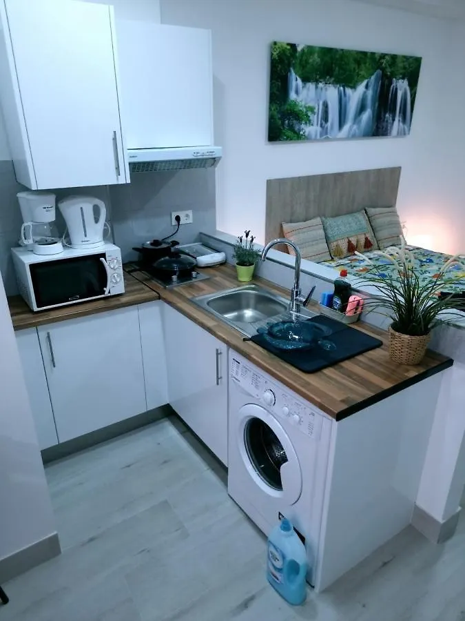 Apartamentos Zanca City Center Free Luggage Storage Malaga 0*,